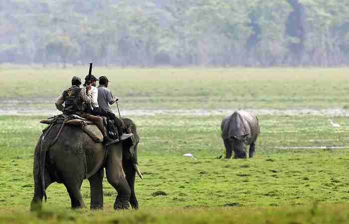 Kaziranga National Park