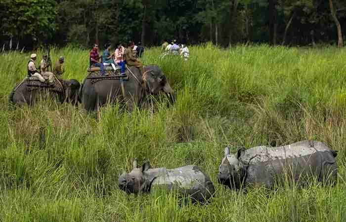 Pobitora Wildlife Sanctuary