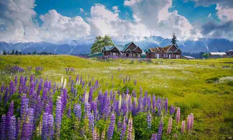 Gulmarg Spring