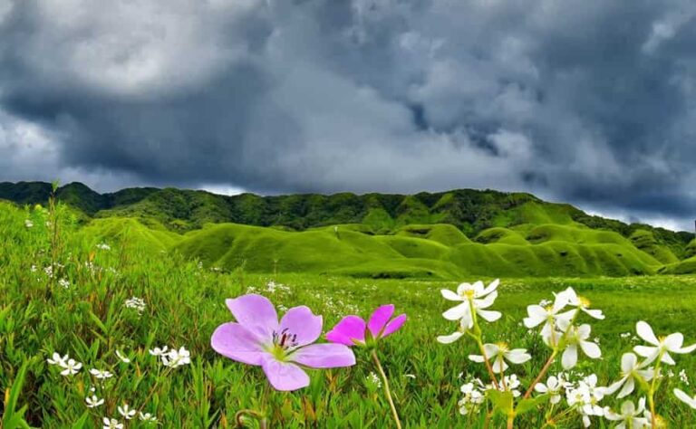 Dzukou Valley - Hidden Valley of Flowers in Northeast India