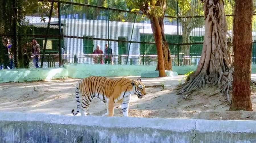 Kankaria Zoo, Ahmedabad